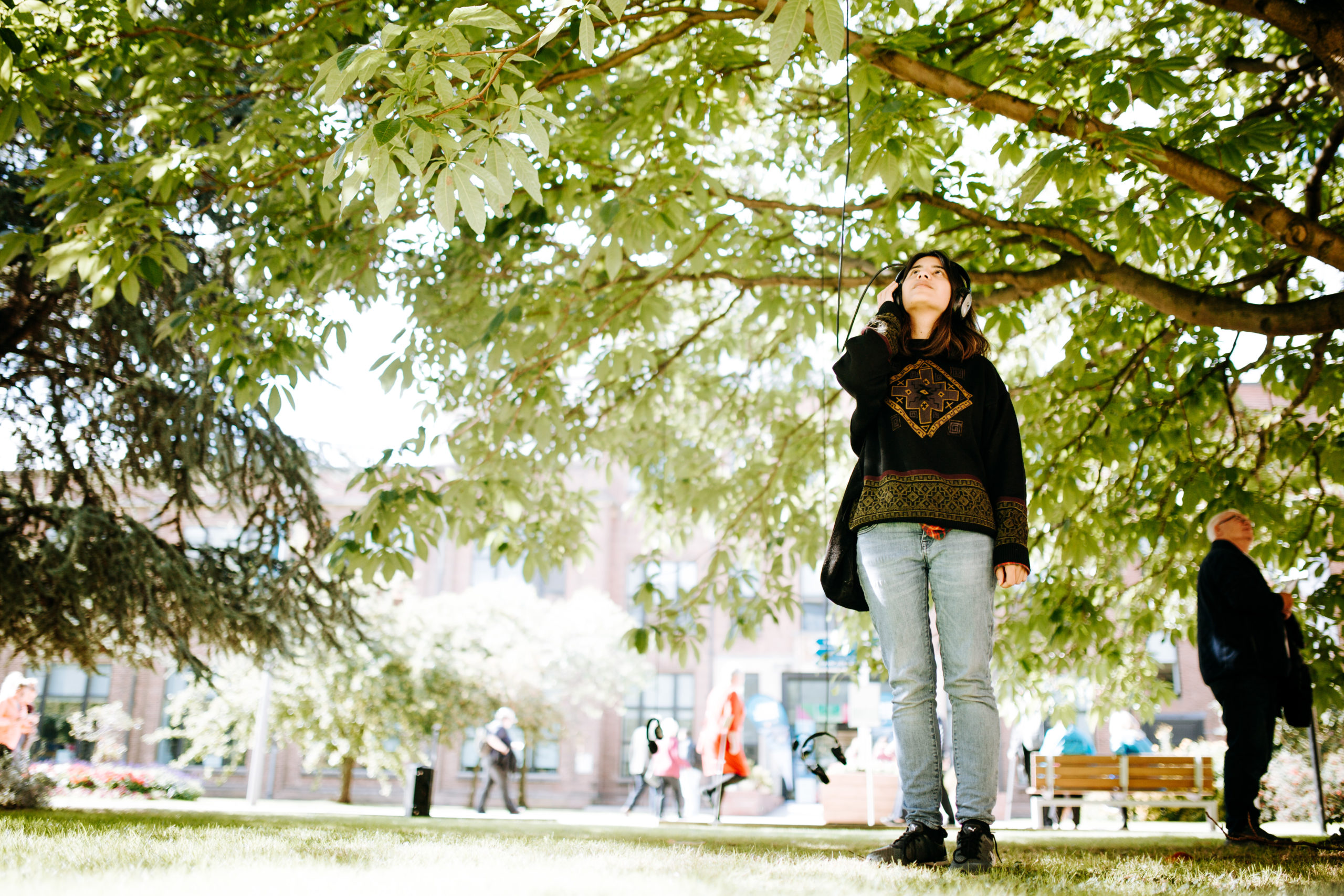 Tree listening at the British Science Festival